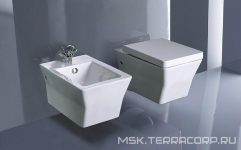 Биде подвесное 56х36.5, крышка микролифт, крепеж в комплекте ХХ Jacob Delafon Reve E4812-00