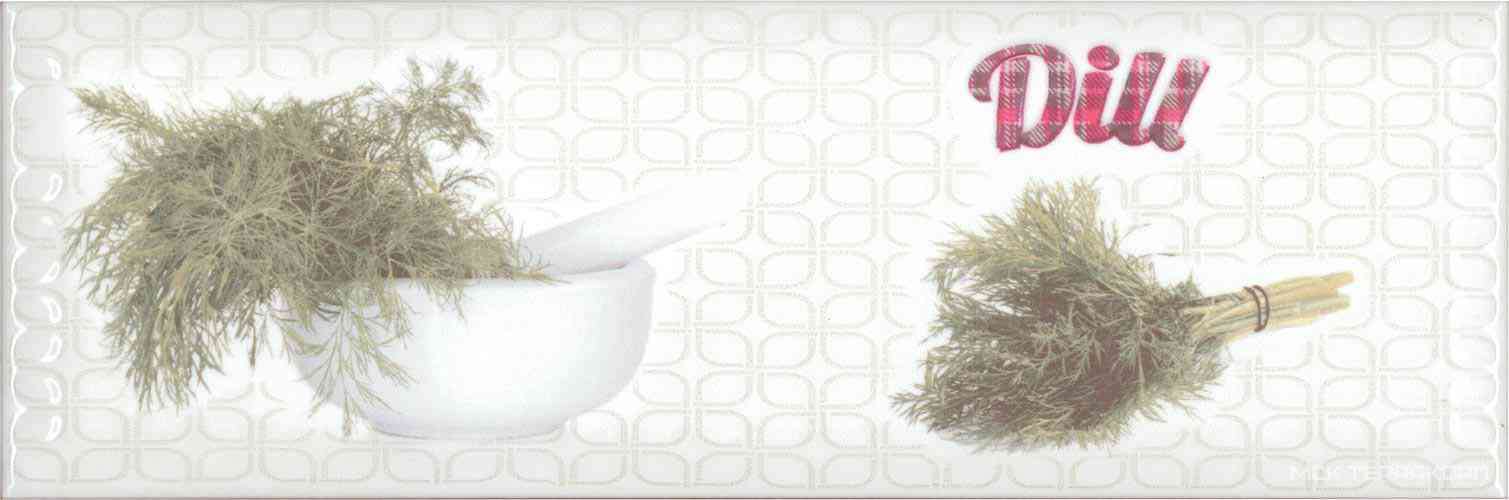 Decor Modern Herbs Dill XX |10x30