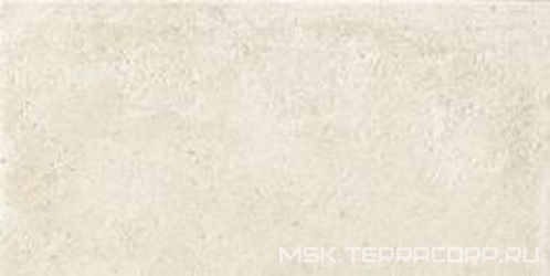 Shabby Chic XX |10x20