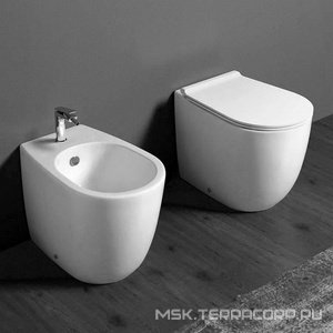 Унитаз 56х36,5см,приставной,монтаж с встр. в стену бачком или бачком арт.СЕ09/D 20,безободковый,(без сиденья), БЕЗ крепежа к полу арт.F 88,  ZZ Simas Vignoni VI 01