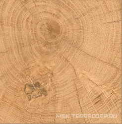 Tronco nat Rett XX 20x20