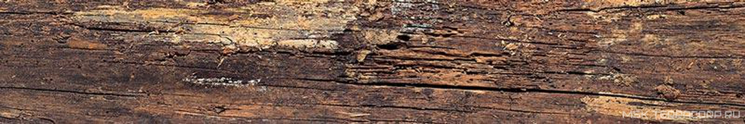 Century Rosso RT XX|20x120