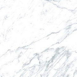 Arabescato 6060 XX |60x60