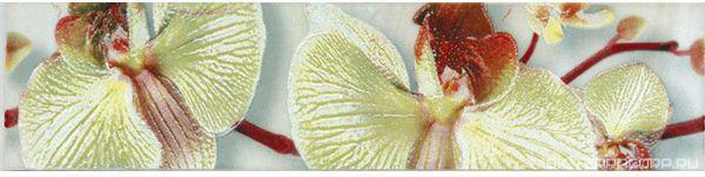 Бордюр Алькора 2 оливковыйXX l6х25