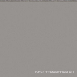 Flexi 1 Grey Mat (п.п.) ZZ |30x30