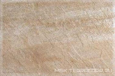 Ain Jet Cuero XX |33.3x50