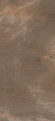 TREX6 260TO LP  120x260 XX