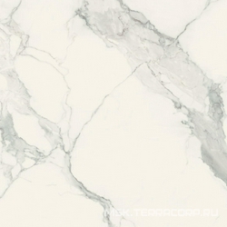 Statuario Glossy ZZ |80x80