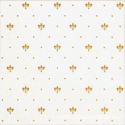 Snob Blanco XX |20x20