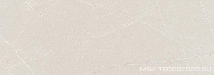 Baltimore Bone rect. XX|31.6x90