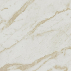 Unigue Calacatta Soft Matt ZZ |80x80