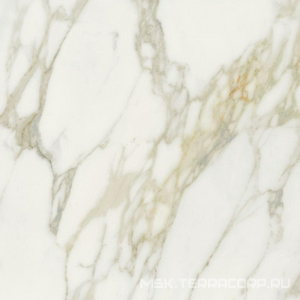 Керамогранит для пола и стены Florim Etoile de Rex Etoile Creme Matte 60x60 761693