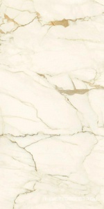 Керамогранит для пола и стены Ariostea Marmi Classici Calacatta Macchia Vecchia Lev Silk 60x120 PK612575