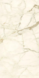 Керамогранит для пола и стены Ariostea Marmi Classici Calacatta Macchia Vecchia Lev Silk 60x120 PK612575