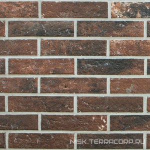 Керамогранит для стены Sadon Bristol  Umber «мин. шов 1 см» 6x25 J85671