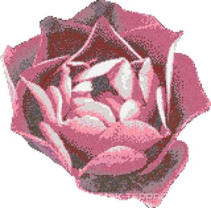 Мозаика Bisazza Бассейны Rosa Rosa ZZ |343x337