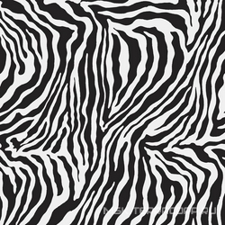 Moonlight Zebra Polished rect. XX |75x75