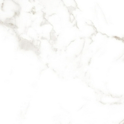 Roma Calacatta Matt RT XX |75x75