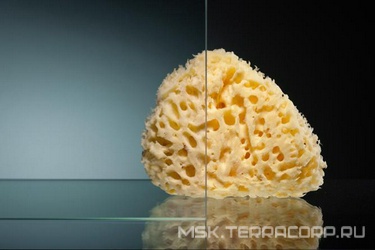 Закаленное стекло 6 мм 565*1882 прозрачное 6 отв NEW (ЗАПЧАСТЬ) ZZ