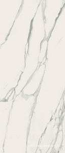 Керамогранит для пола и стены FAP Ceramiche Fap Maxxi Roma Diamond Statuario RT 120x278 fOER