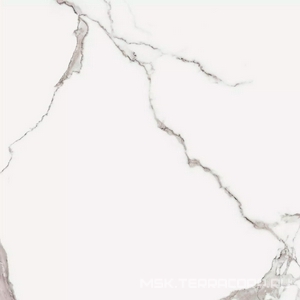 Керамогранит для пола Florim i classici di rex Statuario Soft  80x80 Белый 746587