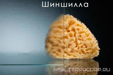 Закаленное стекло 6 мм 450*1894 шиншилла 6отв. ZZ