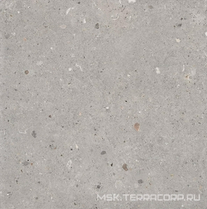 Керамогранит для пола и стены Provenza Ego  Grigio Naturale ZZ60x60 EHE5
