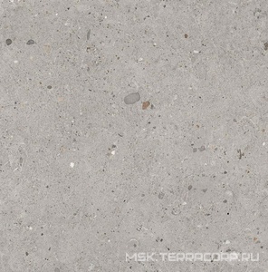 Керамогранит для пола и стены Provenza Ego  Grigio Naturale ZZ60x60 EHE5