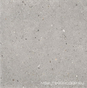 Керамогранит для пола и стены Provenza Ego  Grigio Naturale ZZ60x60 EHE5