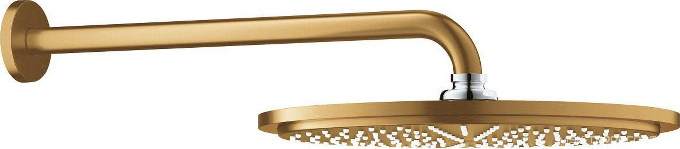 Верхний душ  с кронштейном, холодный рассвет матовый, ZZ Grohe Rainshower 26066GN0