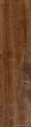 Tabula Cappuccino XX |15x61