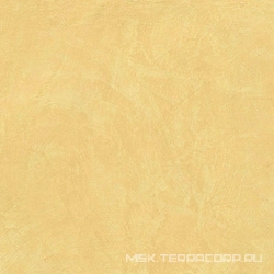 Грес SR04 Yellow неполир. ZZl60x60