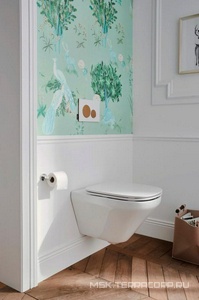 Унитаз подвесной, безободковый, крепления в комплекте, БЕЗ крышки E77168-0 Jacob Delafon Modern life E77725-0