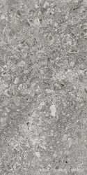 Граните Лунар Серый MR мат.60x120 XX