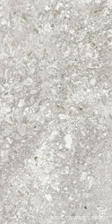 Граните Лунар Светло-Серый MR мат.60x120 XX