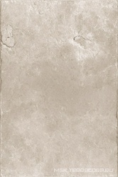 Pietraviva Grigio Chiaro Outdoor (п.п.) ZZ |40.8x61.4