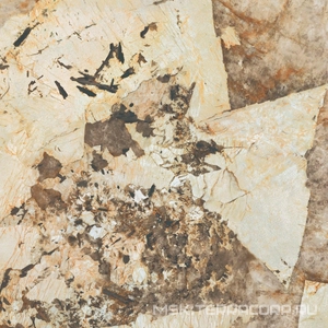 Керамогранит для пола и стены Atlas Concorde Italy Marvel Gala Marvel Desert Soul Lapp 120x120 AFXM