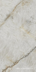 Керамогранит для пола и стены Artecera Marble Collection Topaz Quartz Polish 60x120 AC126285