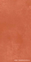 RTN6 CARMI12 RM (п.п.) ZZ 60x120