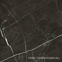Royal black 60x60