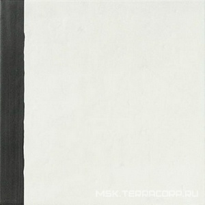 Керамогранит для стены APE Ceramica Esencia Material Border 20x20 A040238