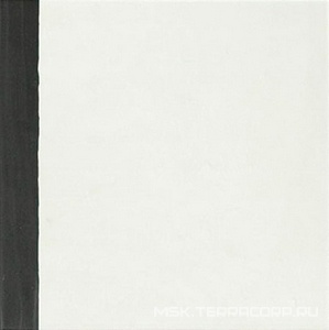 Керамогранит для стены APE Ceramica Esencia Material Border 20x20 A040238