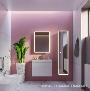 Зеркало-шкаф , 60x80x15 см, 1 дверца, 2 стеклянные полки, сенсорный выключатель, LED-подсветка, розетка, ZZ Dreja POINT 99.9032