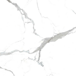 Calacata grey KL80x80