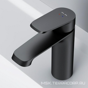 Смеситель для раковины, БЕЗ донного клапана, цв.черный AMPM FUNC F8F02122