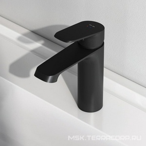 Смеситель для раковины, БЕЗ донного клапана, цв.черный AMPM FUNC F8F02122