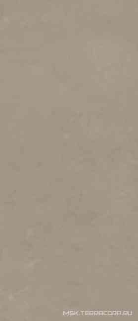 VIS6 278TP RM (п.п.) ZZ 120x278