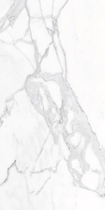 Керамогранит для пола и стены Alpas Euro Eco Marble  6291 Polished 60x120 n164624