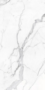 Керамогранит для пола и стены Alpas Euro Eco Marble  6291 Polished 60x120 n164624