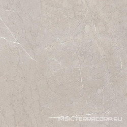 Керамогранит EBRI GRIS XX 60x60